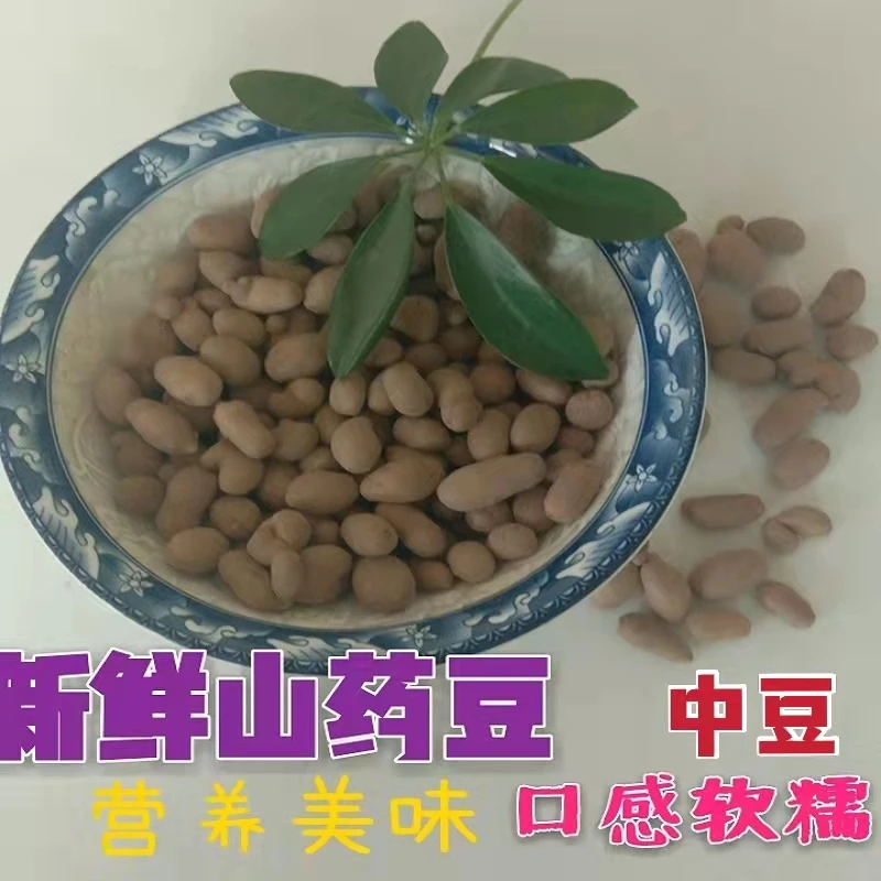 农家铁棍山药豆营养早餐小豆子软糯香甜原产地直发营养高净重五斤