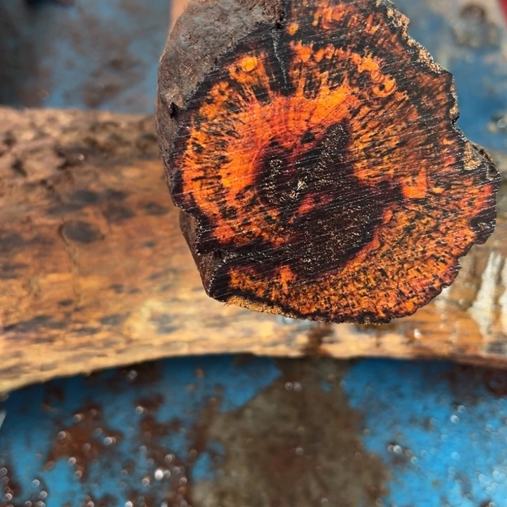 木?*潮定制开料1.2手串