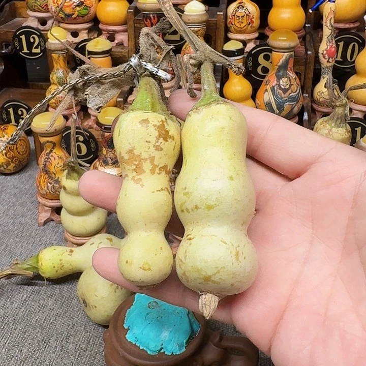 芝***忙你是不可能有这样想法啊