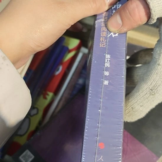 蒋的日记平装库存书库存书