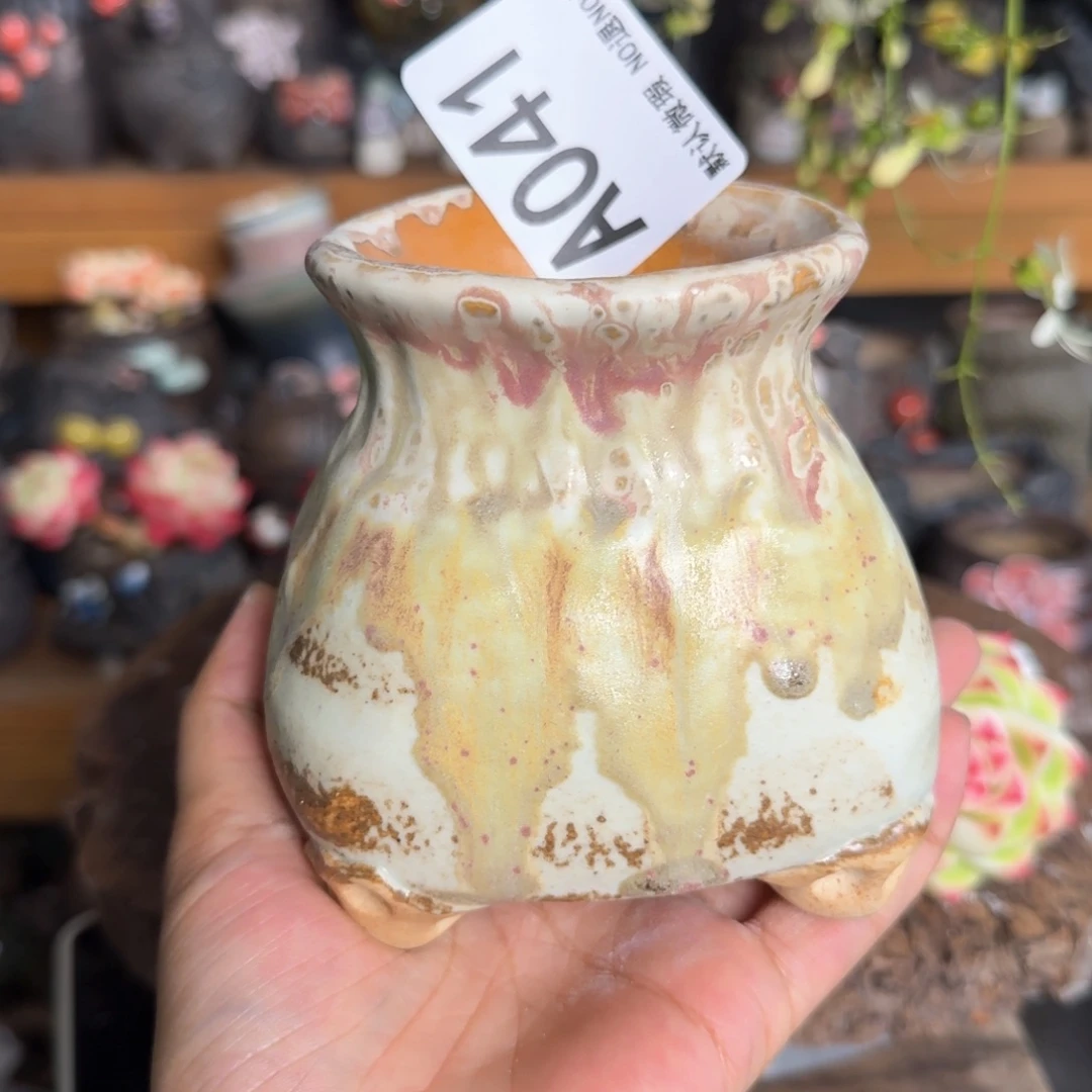 重庆小燕子欢迎大家041