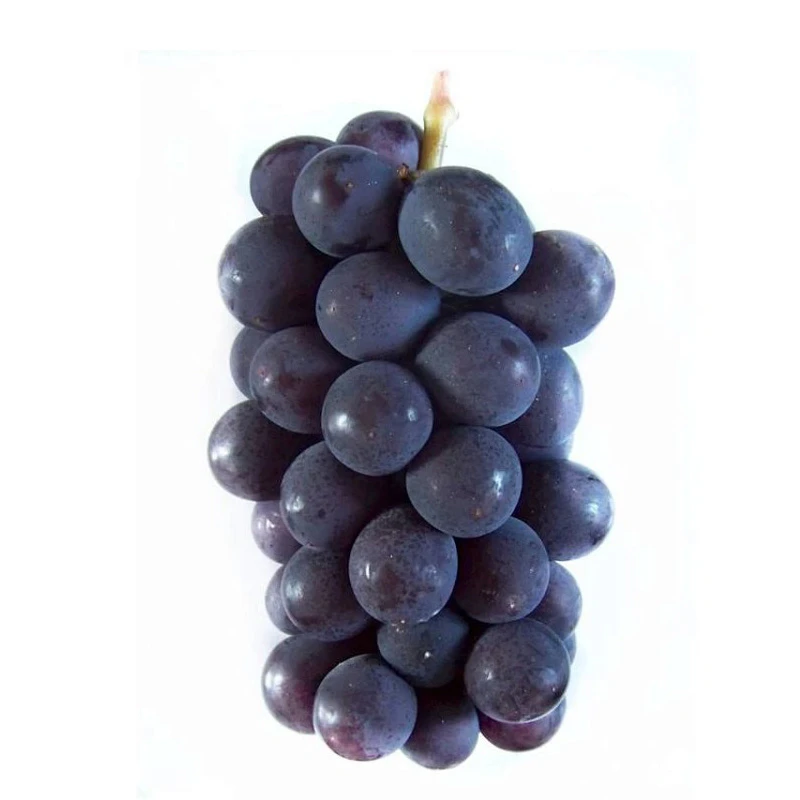 大圩夏黑葡萄约1-1.2kg