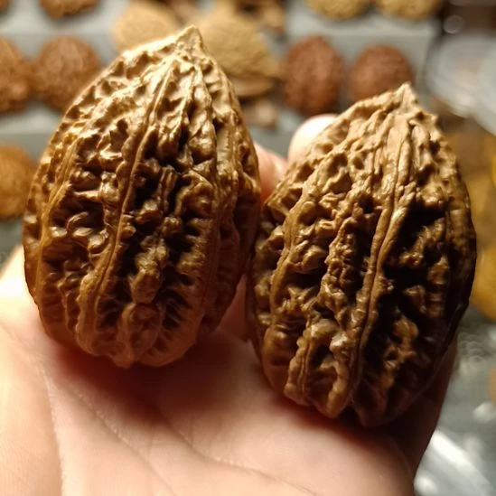 文玩核桃吊坠大楸子核桃5号