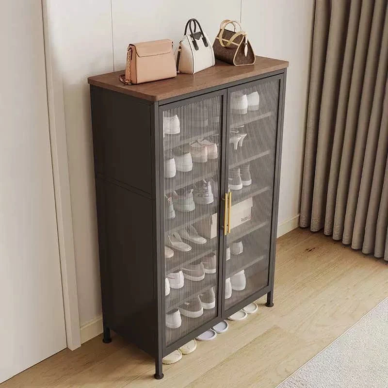 【新疆包邮】小沫家轻奢鞋柜储物柜亚克力金属结构家用带门简易