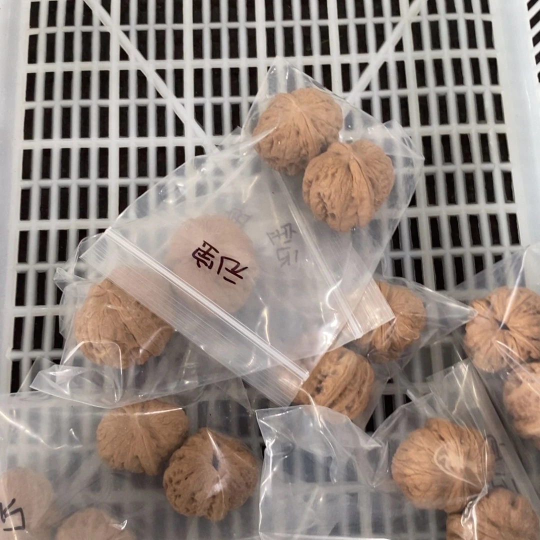 文玩核桃吊坠元宝有瑕疵