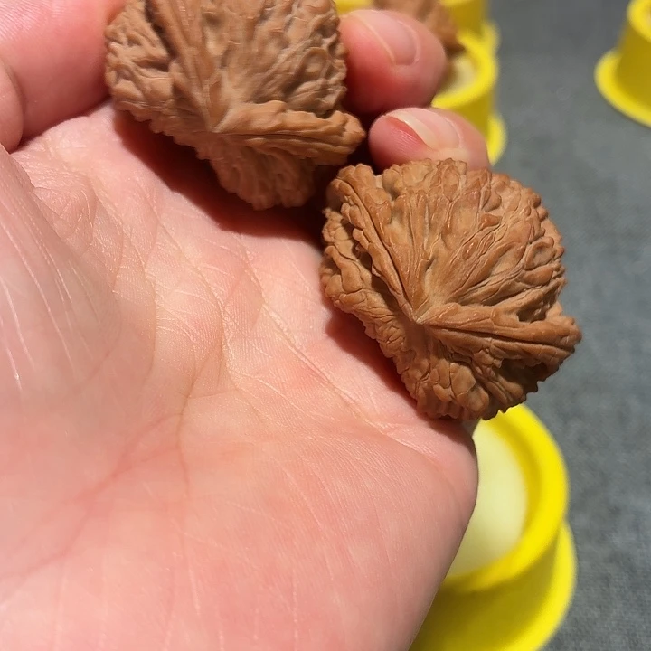 心**鬼文玩核桃，白狮子异形，尺寸40