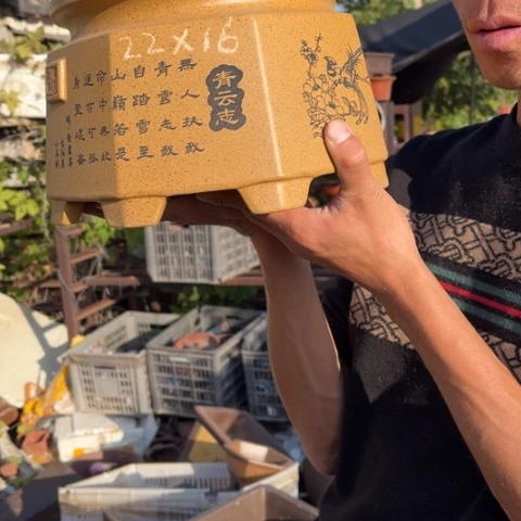 花盆紫砂特价姐姐们可以