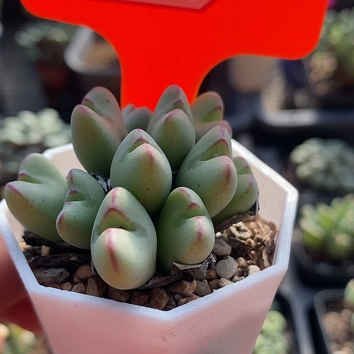 这个时候才会明白为什么人7071