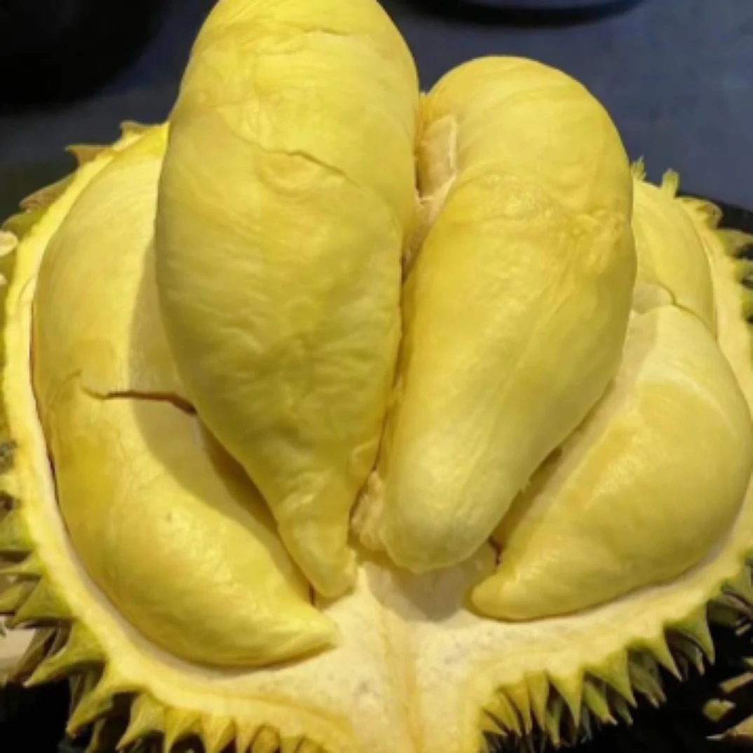 现开金枕榴莲/新鲜/0.5-5KG/核小榴莲同城送榴莲同城送金枕泰国