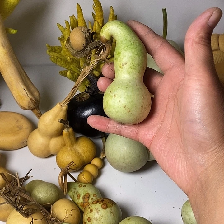 万***言异形葫芦手把件葫芦