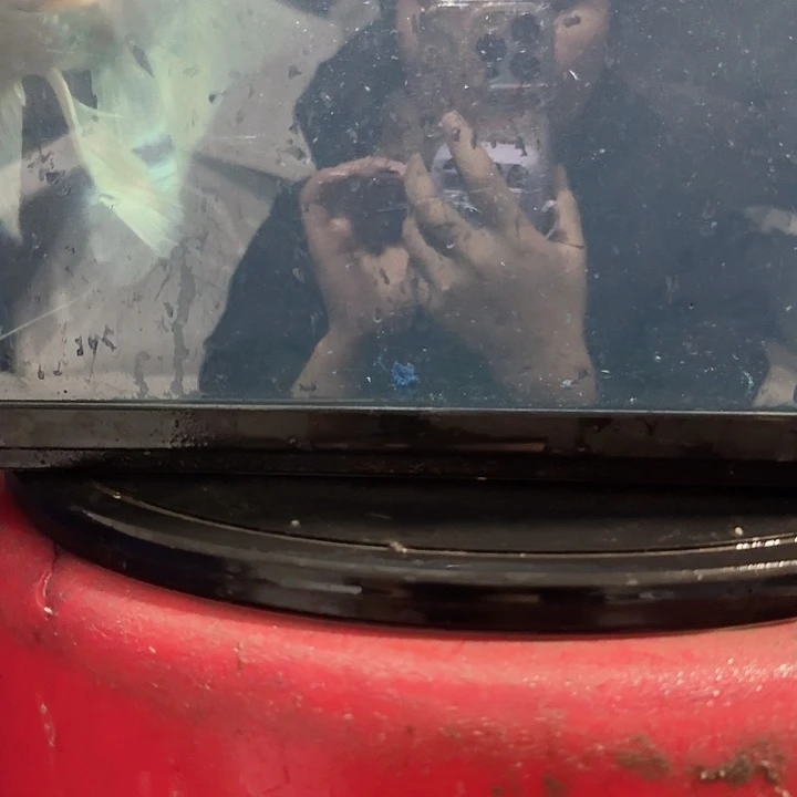 蝴蝶鲤鱼蝴蝶鲤包邮福袋