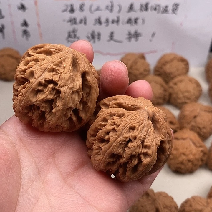 毛***迪木质类5.3.503.503