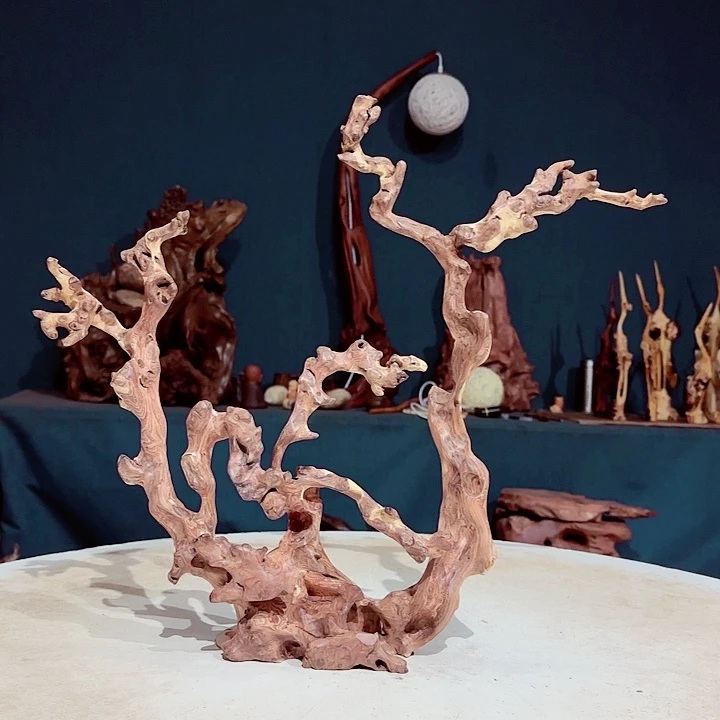 黑果木蓝**云260金丝红木羊蹄甲成品摆件经典款