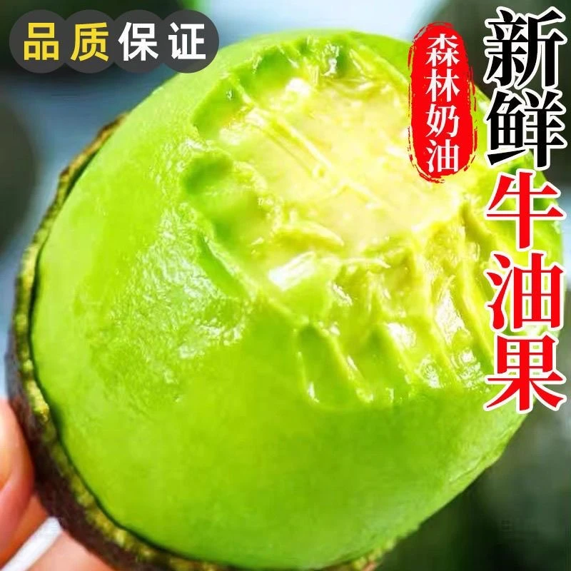 【秘鲁牛油果】10枚装单果80-120g新鲜水果（赠：酱油+芥末）