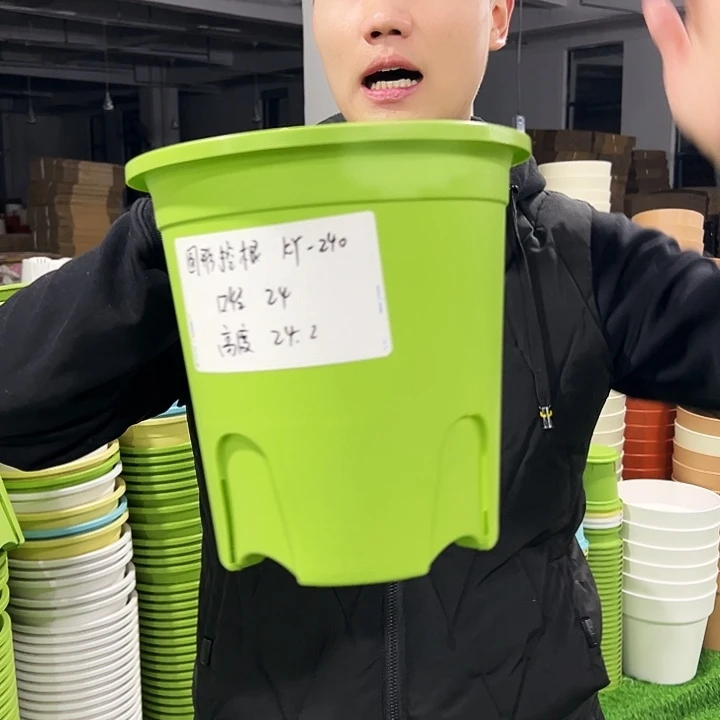 正品圆控口24高24白色8只无托