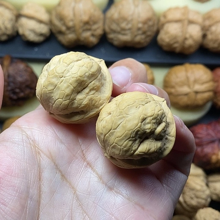 吊坠桃核铁鹦鹉30尺