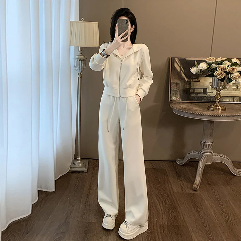 高级感休闲运动服套装女春秋新款设计感气质双拉链连帽卫衣阔腿裤