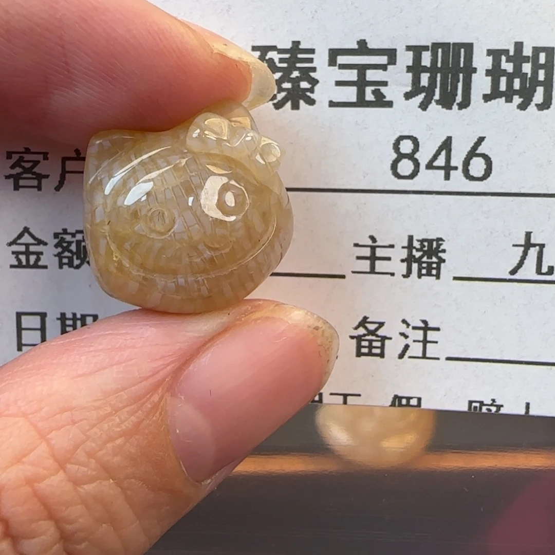 硅化珊瑚（珊瑚玉）未镶嵌颈饰