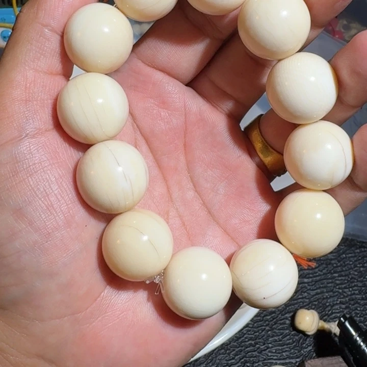 红***黄吊坠菩提根/象牙果