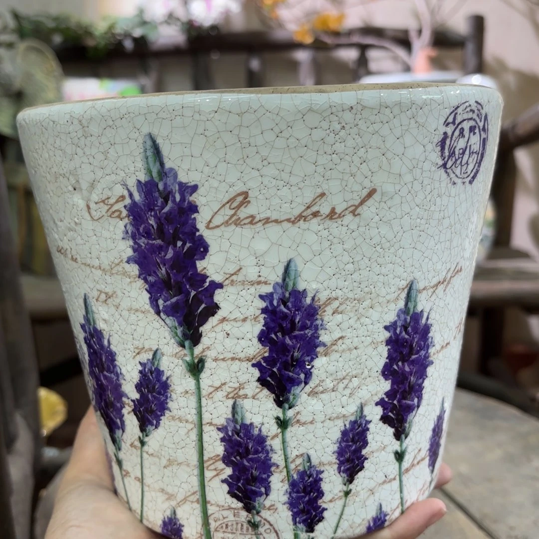 许纯的花房 孤品257