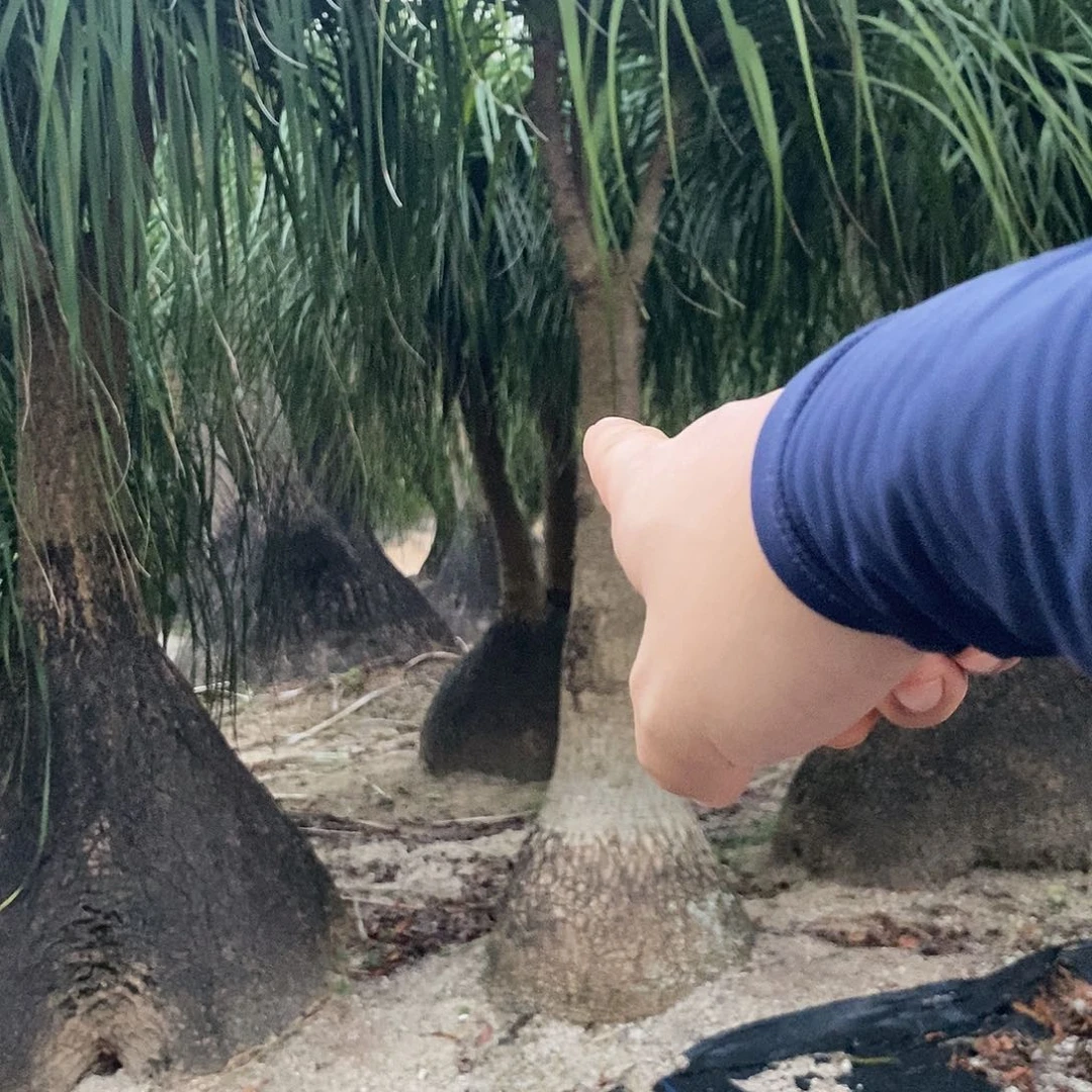 无花朵T****t00000000000000000000