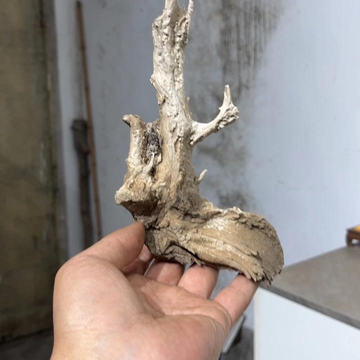 飞***风柏木崖柏等自然资源和自然资源