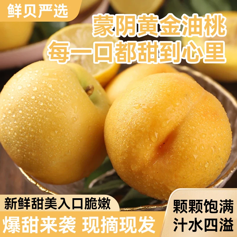 黄油桃新鲜现摘现发当季山东蒙阴黄桃水果黄金油桃沂蒙山脆桃子