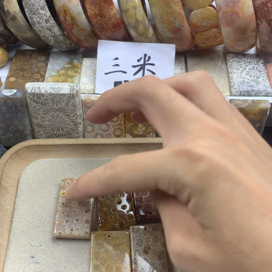 星***月硅化珊瑚（珊瑚玉）未镶嵌颈饰