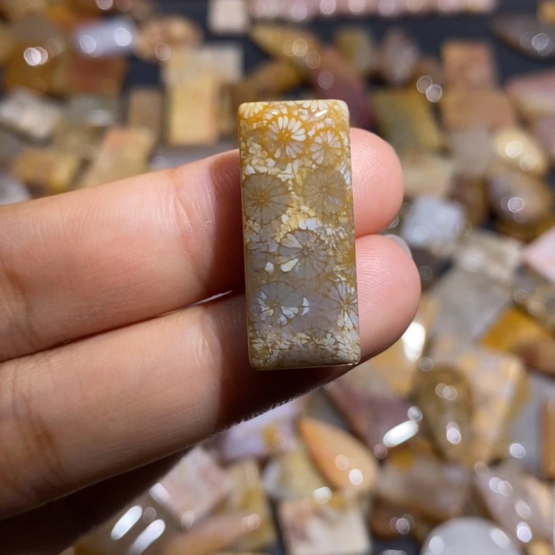 【闪购商品】未镶嵌珊瑚玉硅化玉