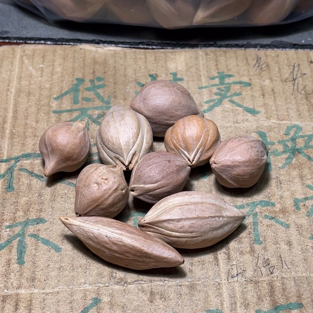 多***体橄榄核吊坠不退不换