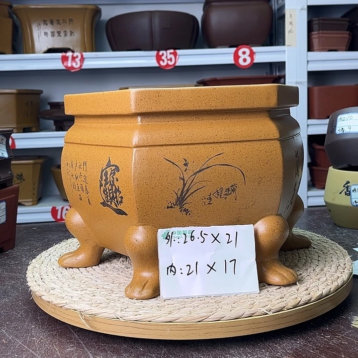 花盆紫砂你在一起