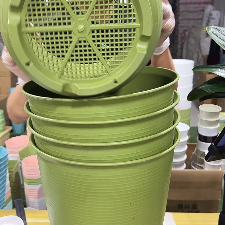 高陶口30高30果绿无托5只