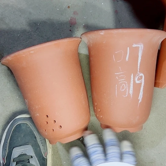 红陶紫砂紫砂紫砂