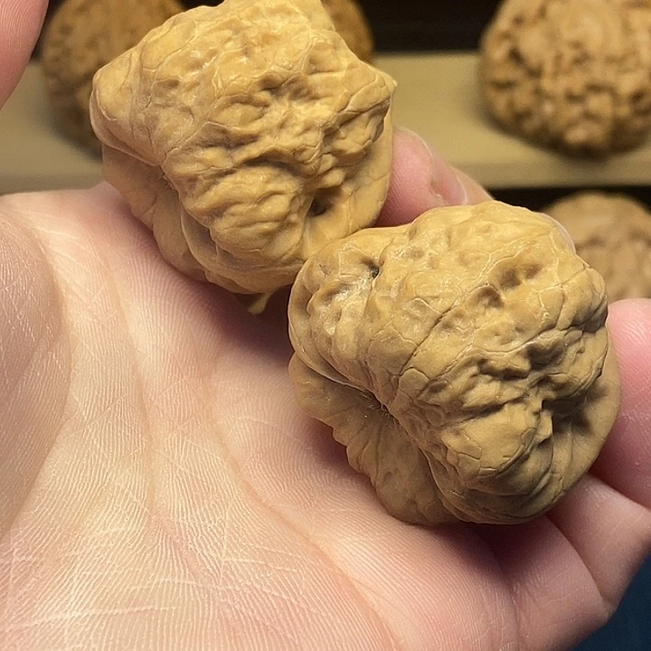 核桃文玩核桃古蝉37