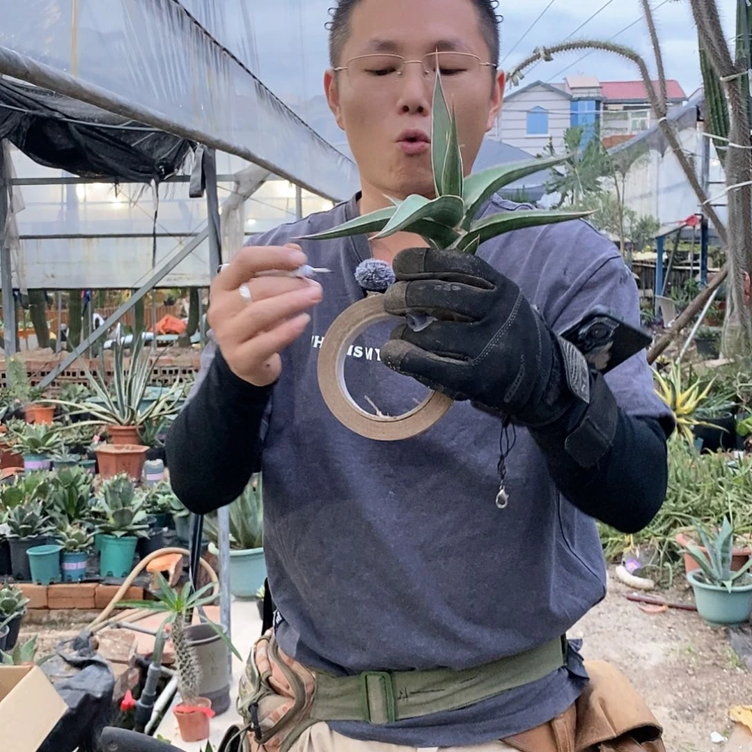五**～7号 随单，没有不发货