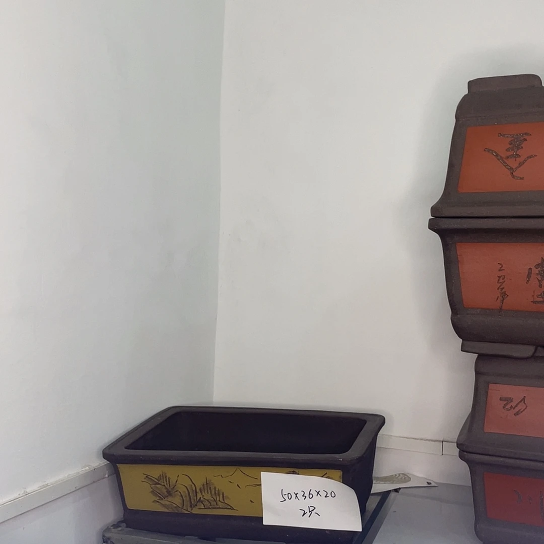 两个50以及爬上健健康康了