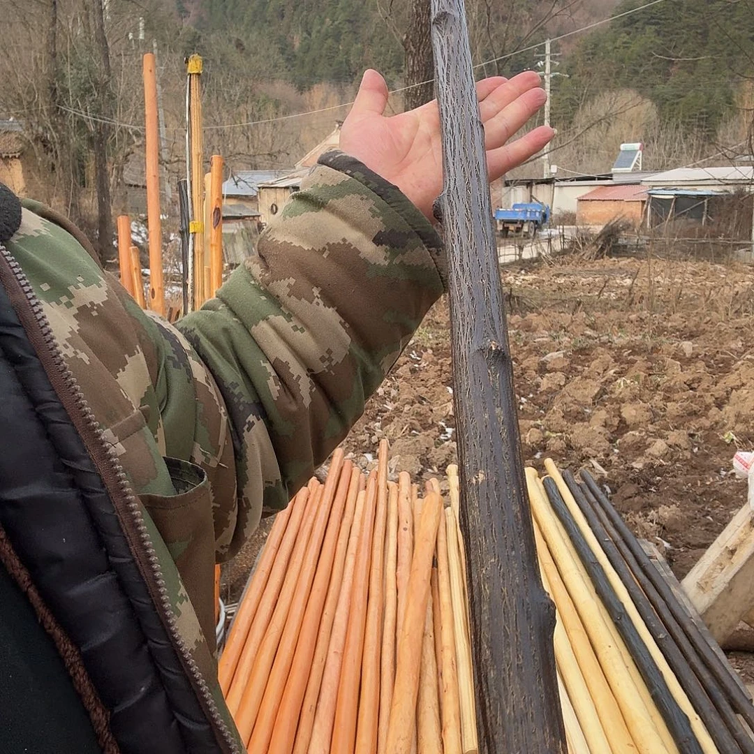 伯***门好好好好好好好好好好