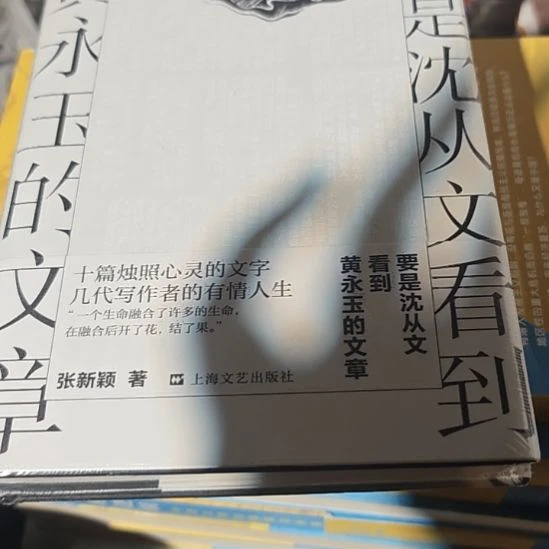 要是沈从文看到黄永玉文章精装塑封全新