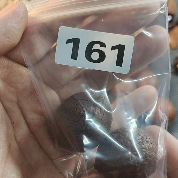文玩核桃吊坠零***柒文玩核桃