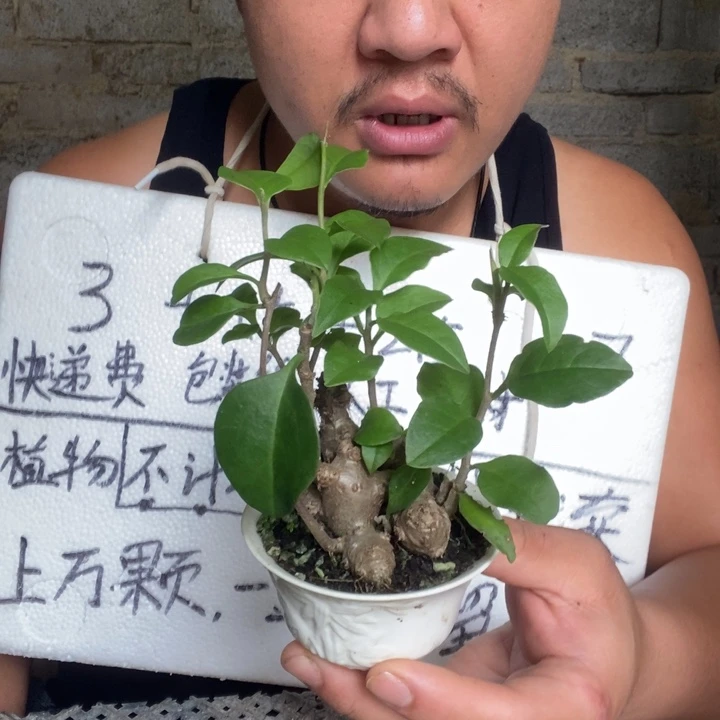 退款拉黑一物一拍39