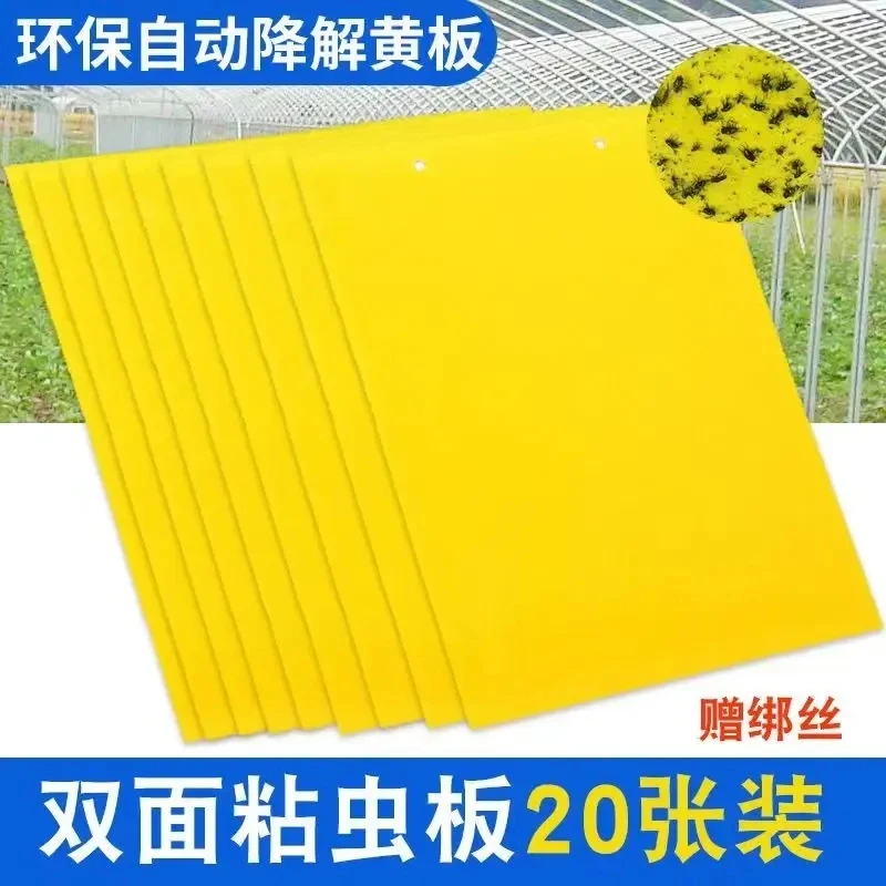黄色双面粘虫板贴纸强力小飞虫沾果蝇诱捕神器捉蚊子苍蝇