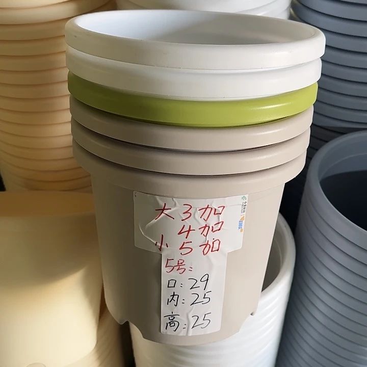 四季5#口径29灰白10个无托