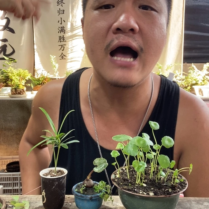 无花朵退款拉黑拉黑96