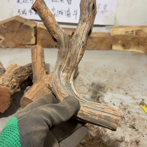 大果紫檀（缅甸花梨）向****赚