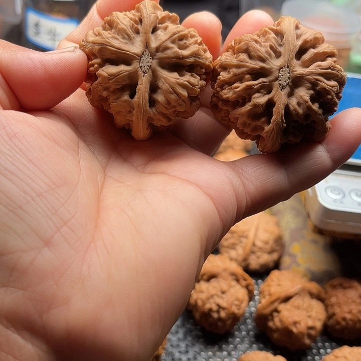 永***哥把件桃核大粗金边45➕