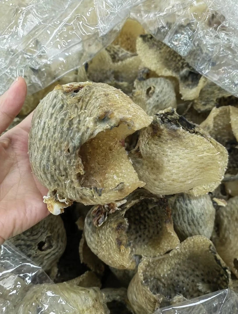 刺龟皮（9成干以上，10-15只，实际以重量为准）