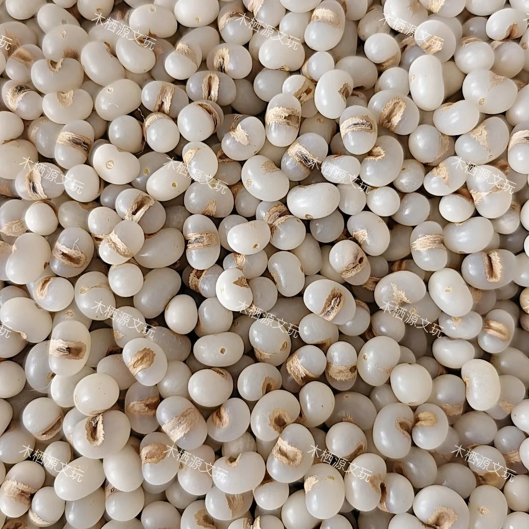 金佛草菩提 棕榈子招财小元宝手工珠已抛光 没打孔手工串珠通货