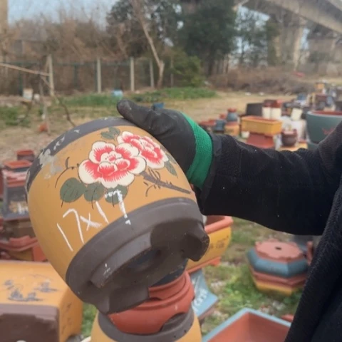 红陶紫砂花盆盆景盆栽