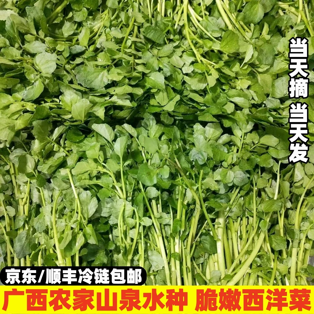 【顺丰】广西西洋菜山泉水种脆嫩农家豆瓣菜水菠菜可煲汤涮火锅