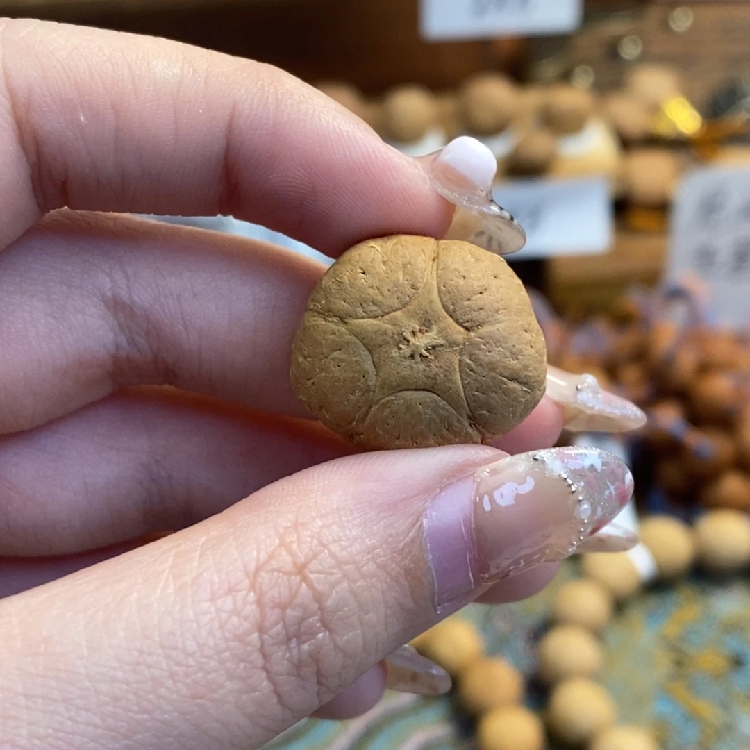 凤眼菩提吊坠五星